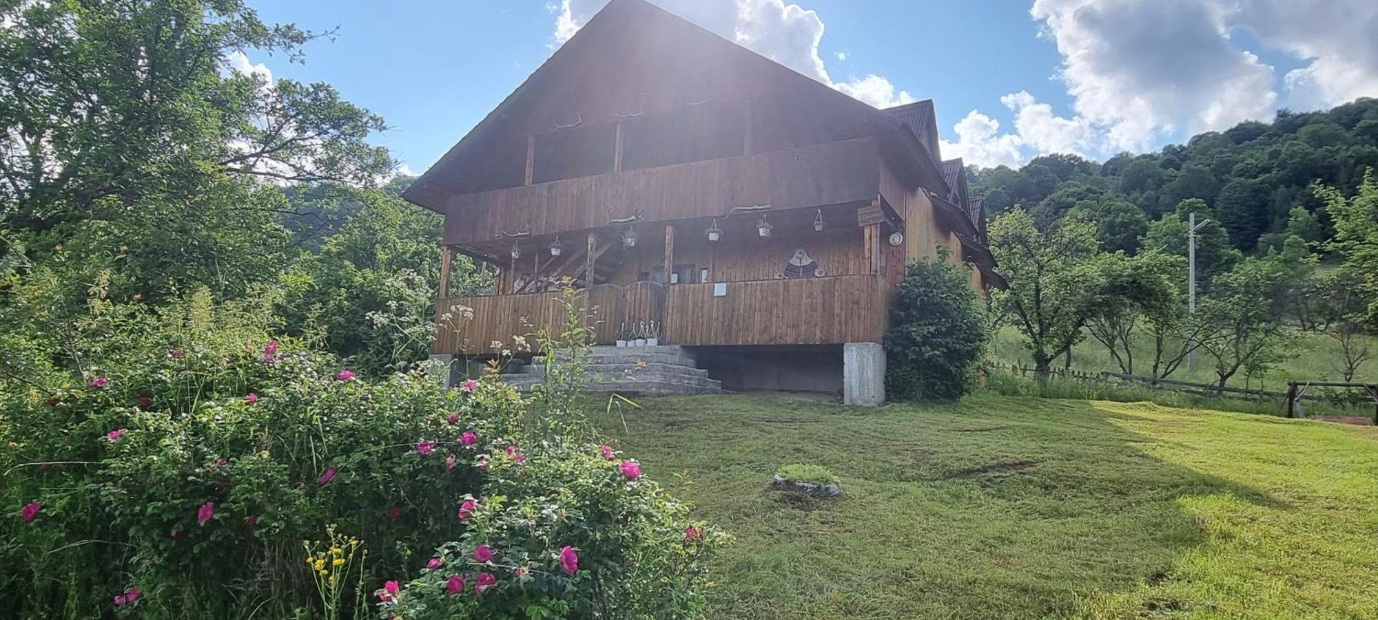 Cabana Suciu Rachitele Luaran gambar