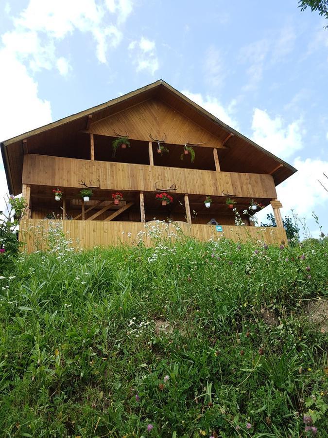 Cabana Suciu Rachitele Luaran gambar